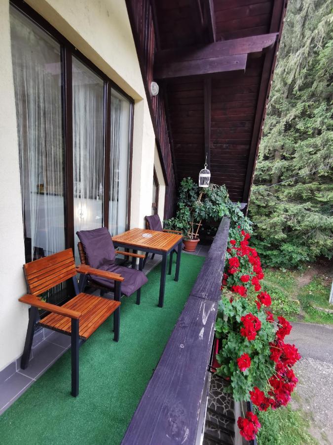 Apartament Kalinderu K1 Bușteni Dış mekan fotoğraf