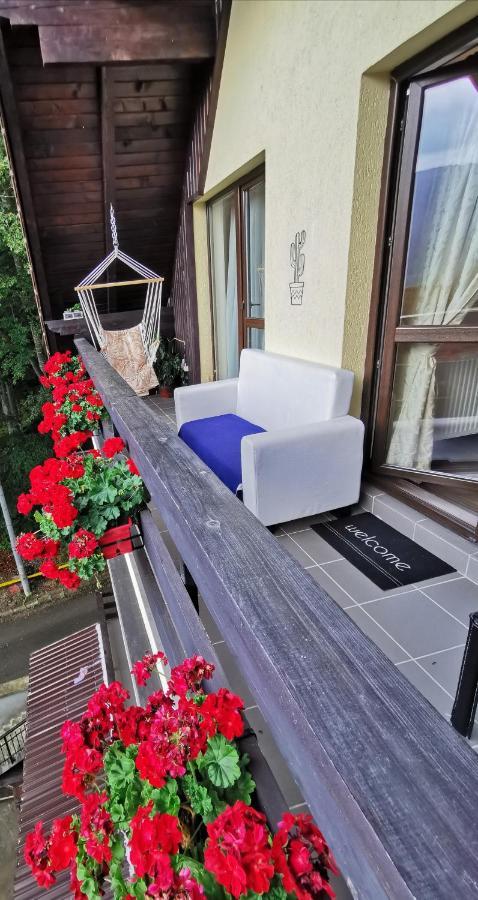 Apartament Kalinderu K1 Bușteni Dış mekan fotoğraf