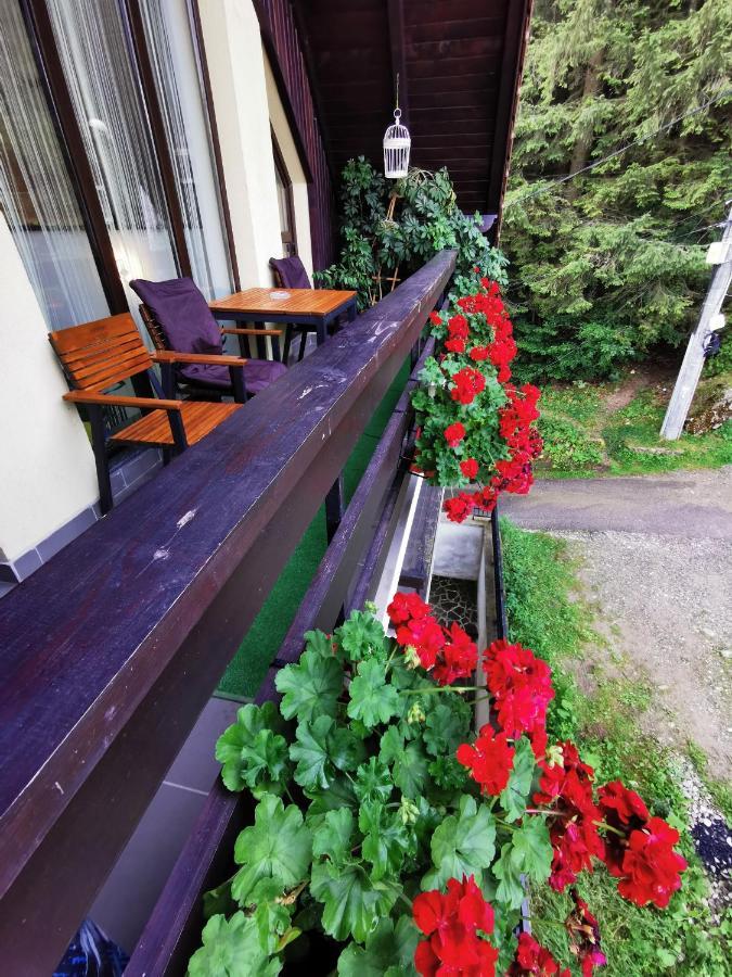 Apartament Kalinderu K1 Bușteni Dış mekan fotoğraf