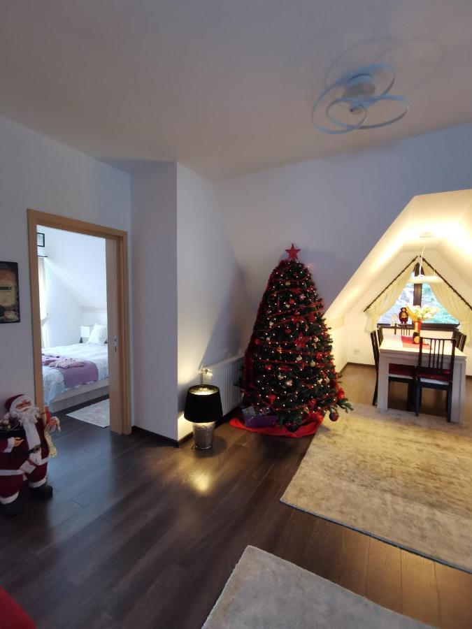 Apartament Kalinderu K1 Bușteni Dış mekan fotoğraf
