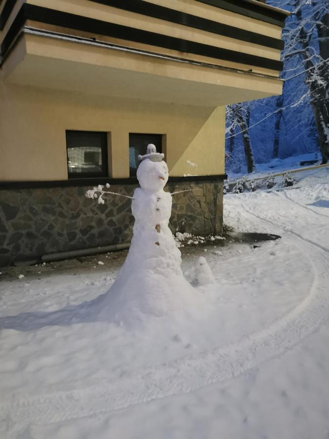 Apartament Kalinderu K1 Bușteni Dış mekan fotoğraf