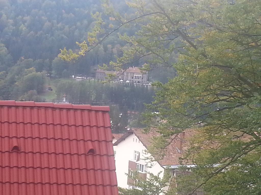 Apartament Kalinderu K1 Bușteni Oda fotoğraf