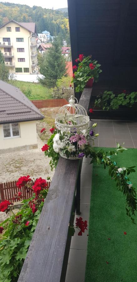 Apartament Kalinderu K1 Bușteni Dış mekan fotoğraf