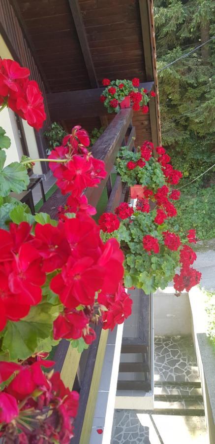 Apartament Kalinderu K1 Bușteni Dış mekan fotoğraf